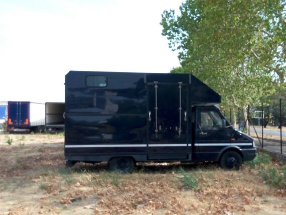 Fiat Iveco usato | trasporto cavalli | furgone | camion | veicolo commerciale | Pomilids
