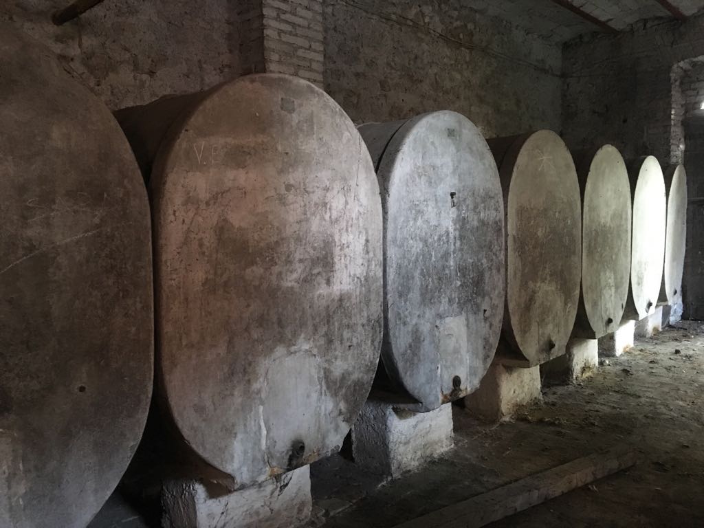 botti storiche in cemento per vino | pomilids