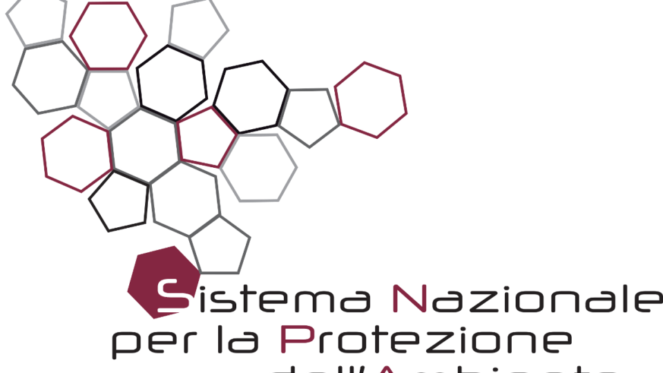 Logo SNPA - Sistema Nazionale per la Protezione dell'Ambiente